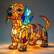 Cane Teckel Radianza